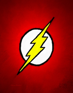 flash wp
